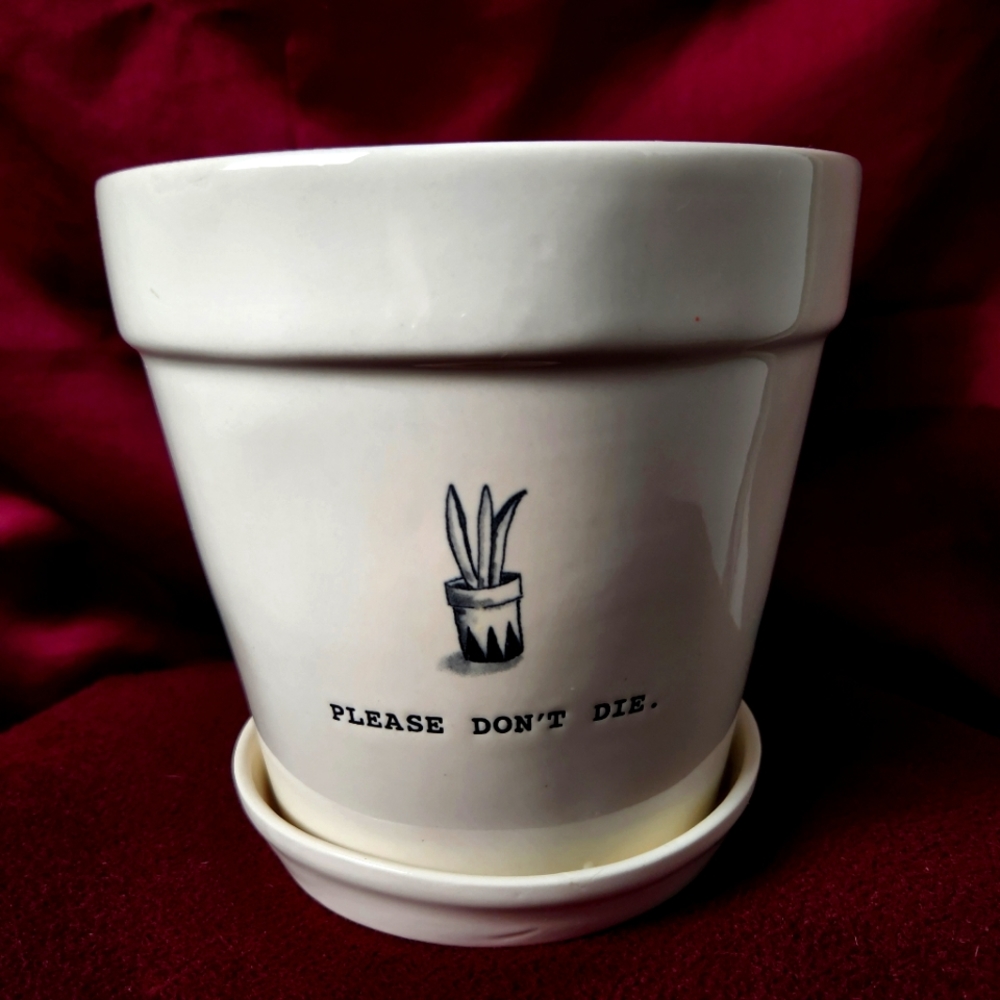 Rae Dun please don't die planter